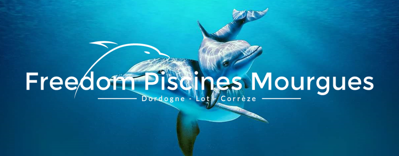 Dauphin retouché2.png